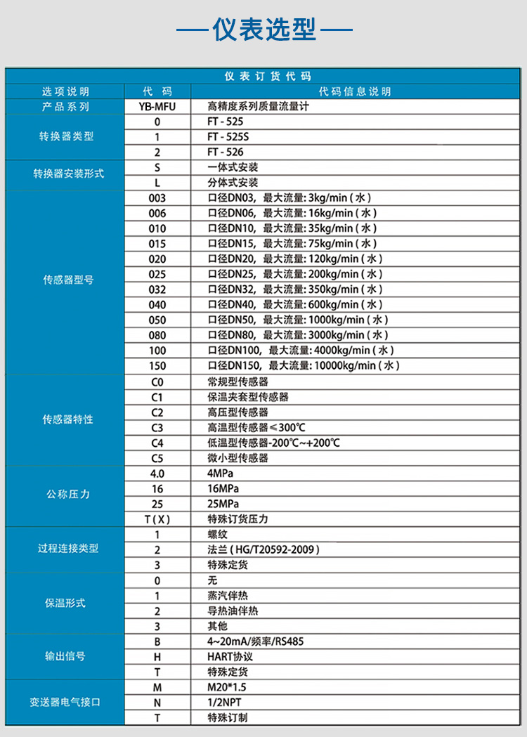 實驗室質量流量計選項表